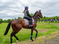 CH290522-38 - Charlie Hills Stable Visit